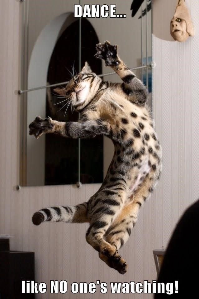 dance-like-no-ones-watching
