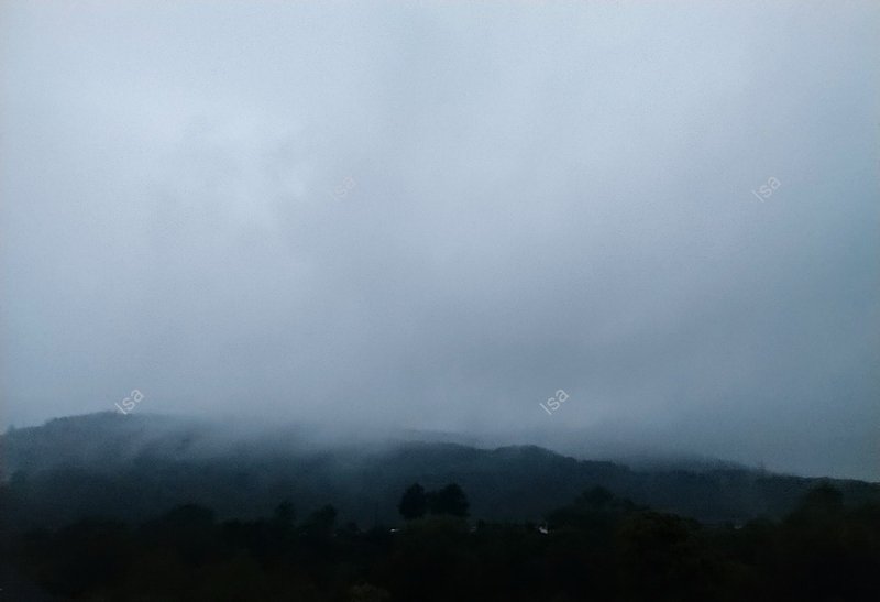 Photo-1719048609675.jpg