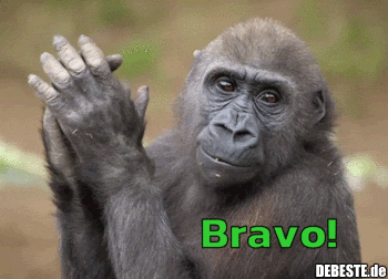 eb35b860a759831f84a38bbdfa65d69f8639.gif