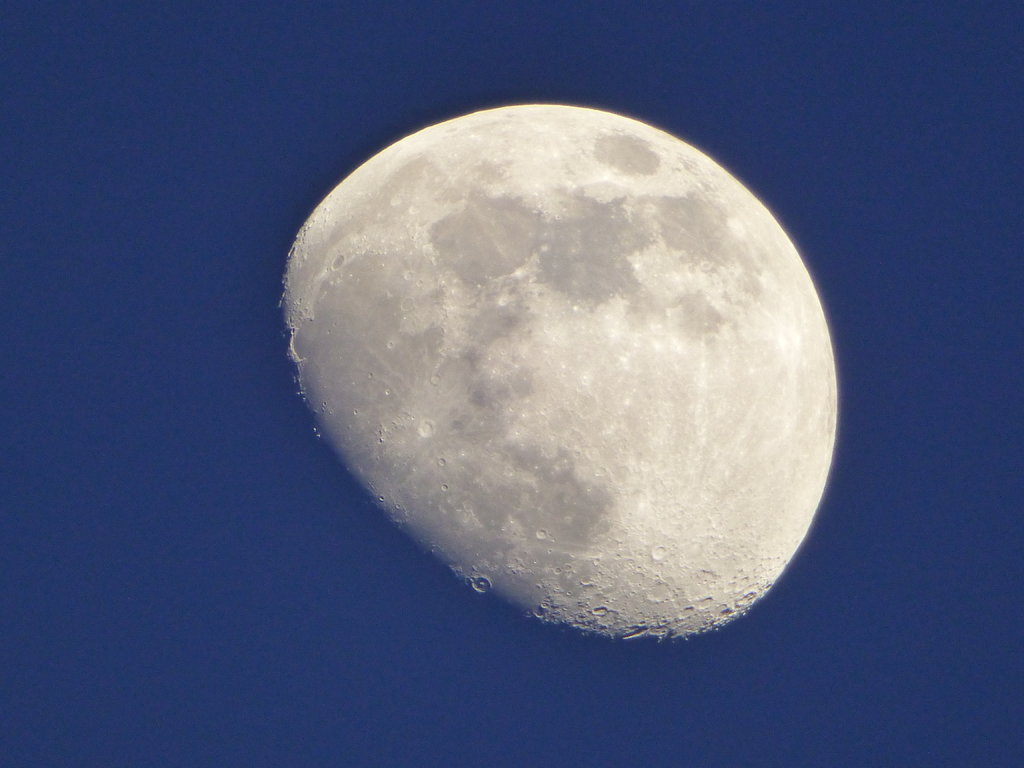 35524997jo.jpg
