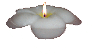hn7pws3rsic.gif