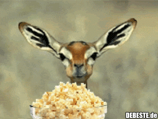 63f2e1118f215cae6d9f26ea9655eea1.gif