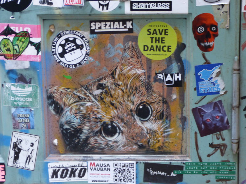 42369449cd.jpg