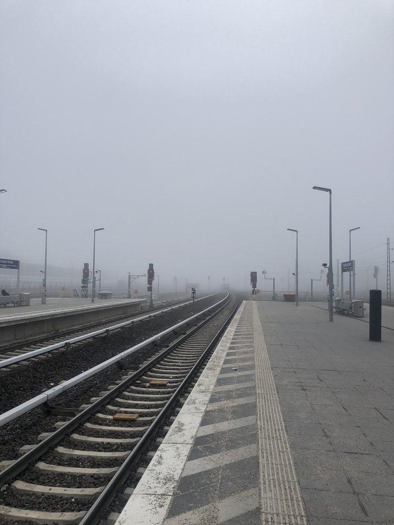45196606nj.jpg
