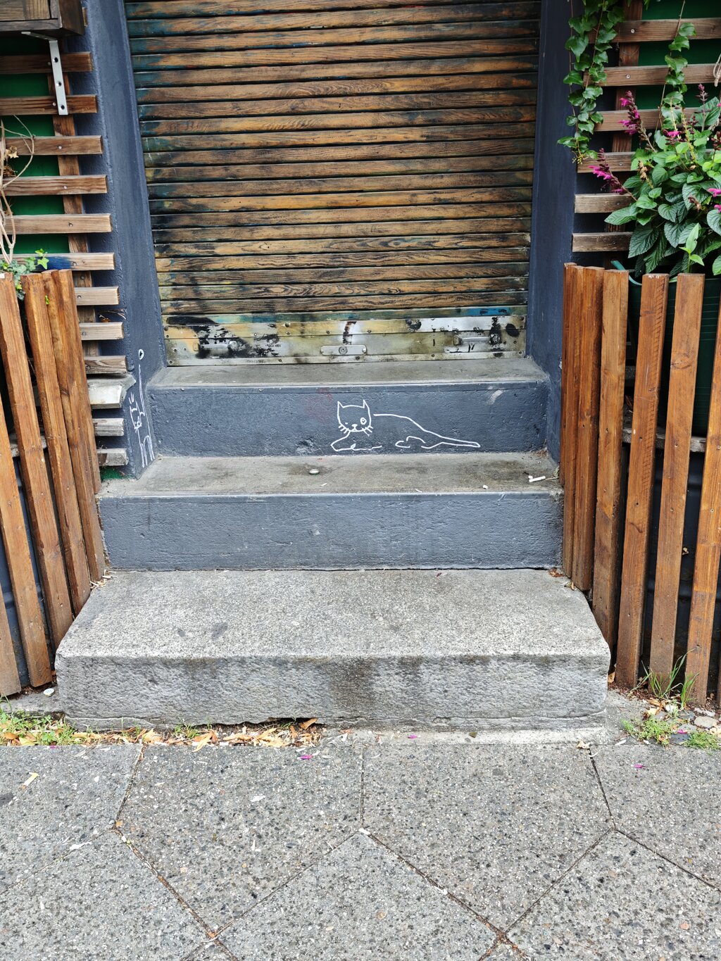 50049256mp.jpg