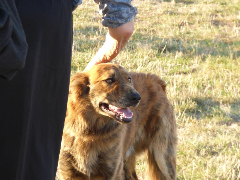 34073450cu.jpg