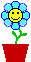 h6sn4o41o13.gif