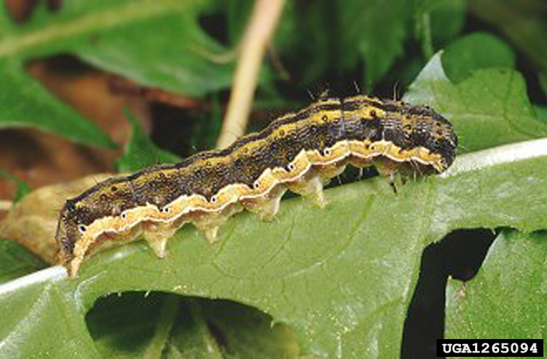 bioprotectionportal.com
