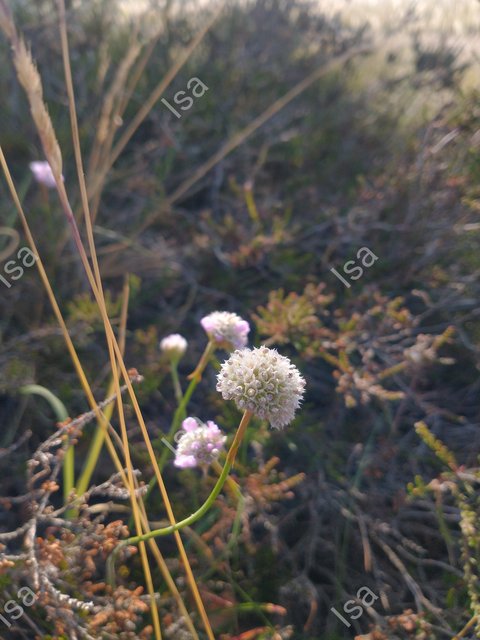 Photo_1710841388538.jpg