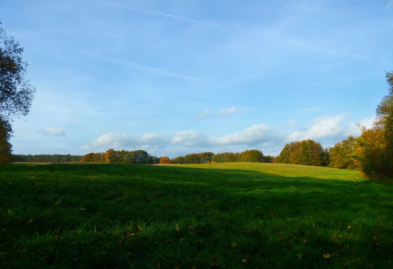 44618821ao.jpg