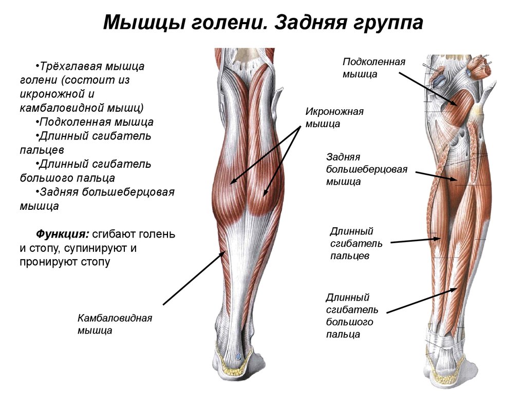 slide-11.jpg