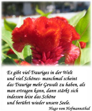 trauriges.jpg