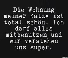 486025cd26b5e44adad3dc1beab304e0.jpg