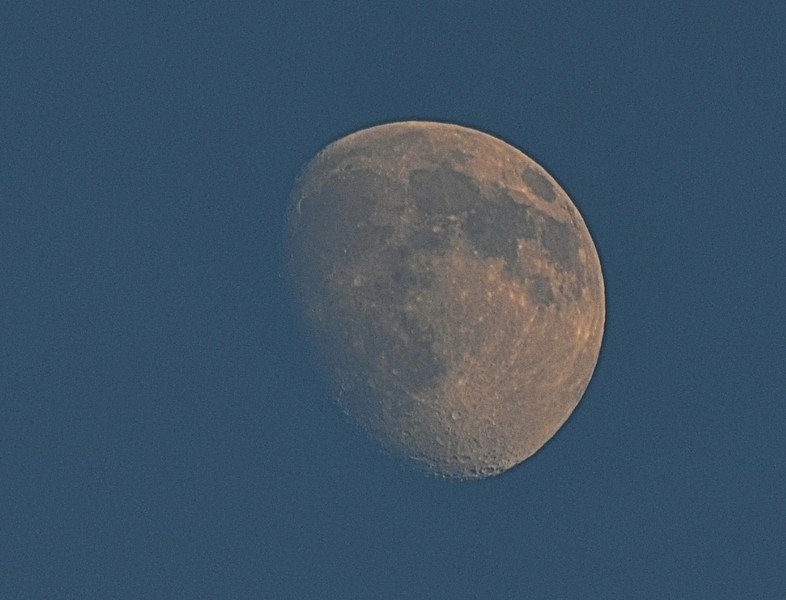 22685108qu.jpg