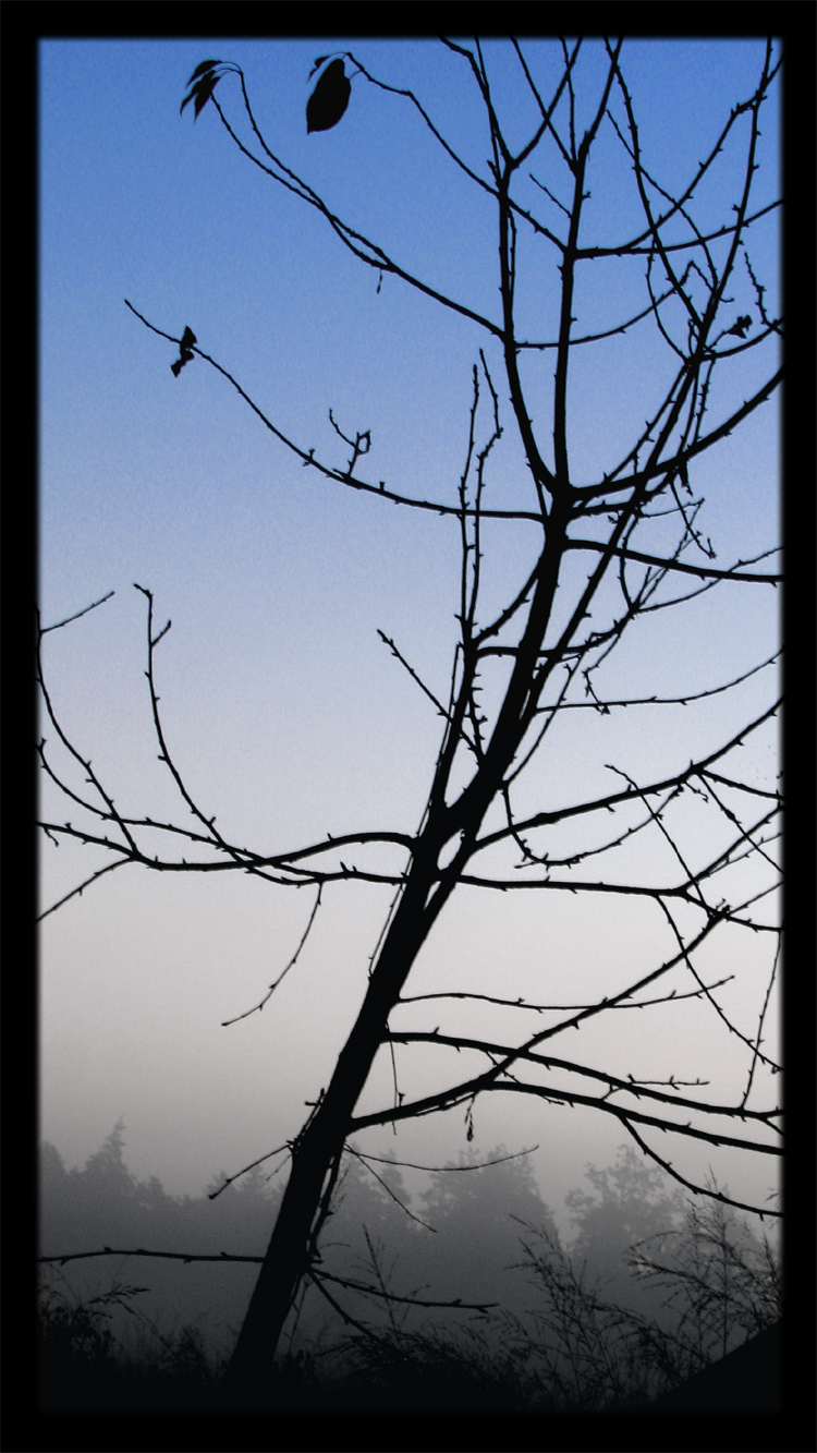 Tree_by_Pestfee.jpg