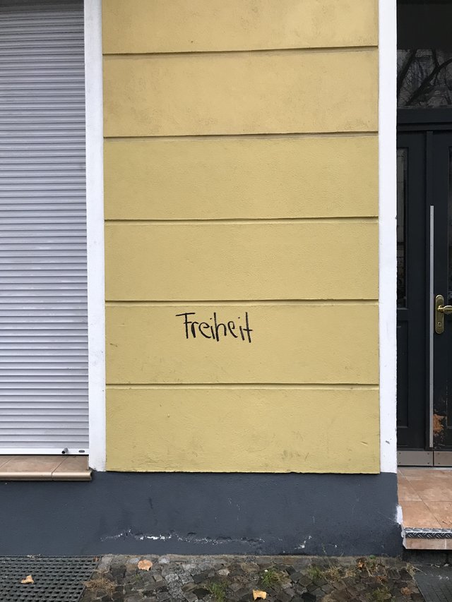 42386528re.jpg