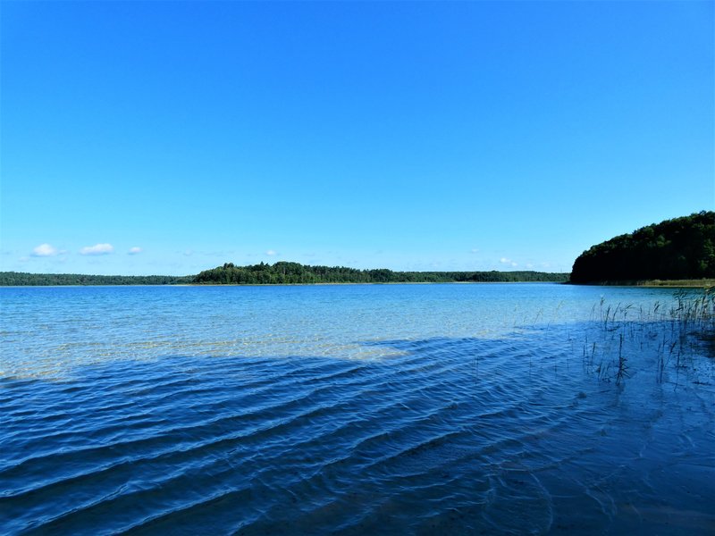 46349409xn.jpg