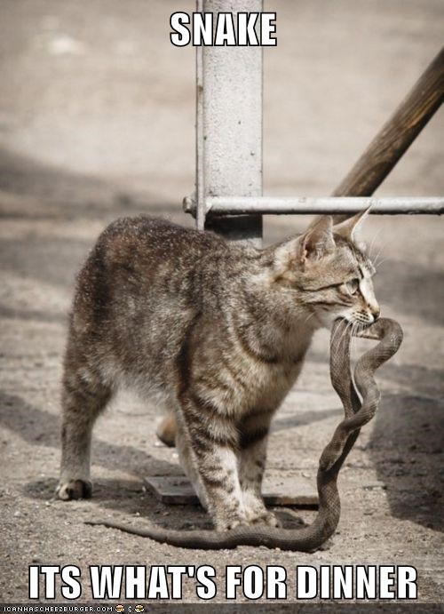 its-whats-for-dinner