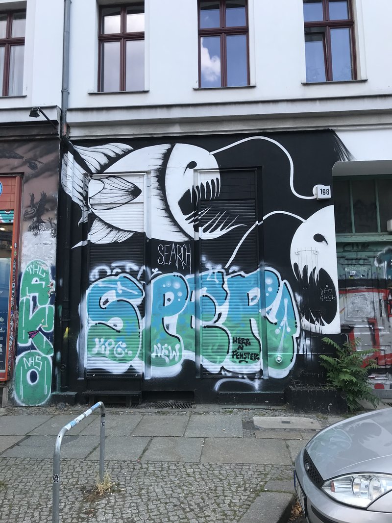 44091898qo.jpg