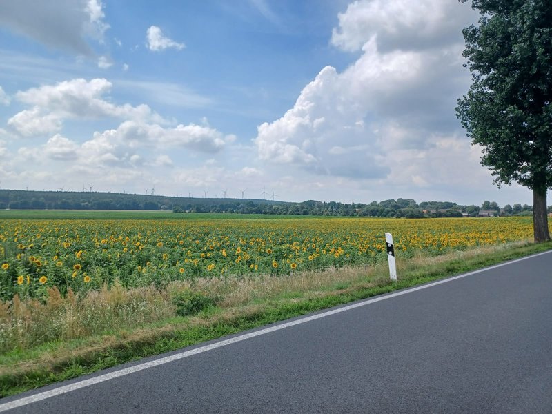 42334631al.jpg
