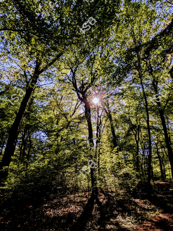 Photo-1778328049422.jpg