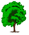 baum_u_02.gif