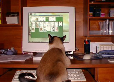 c_solitaire.jpg