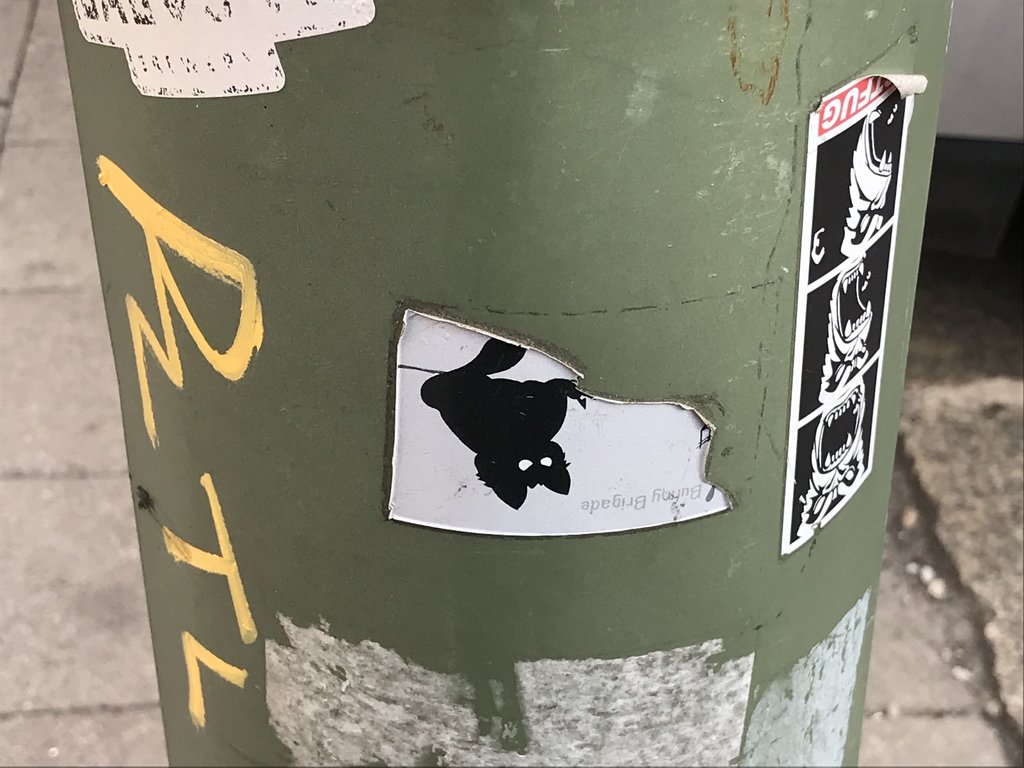 33993068yy.jpg