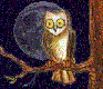 animaatjes-uilen-20534.gif