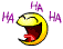 lachende-smilies-0040.gif