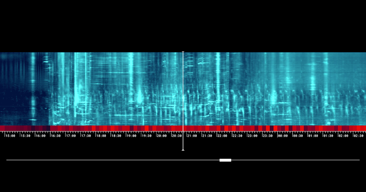 patternradio.withgoogle.com