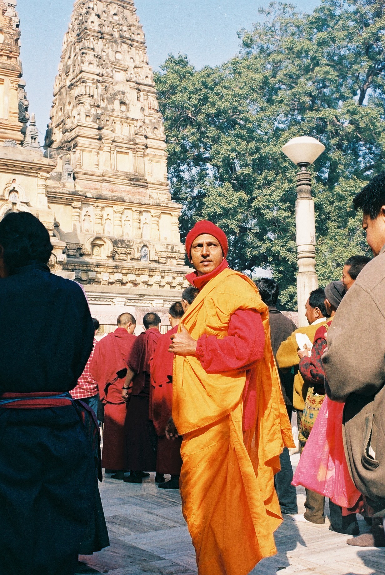 34794868qq.jpg