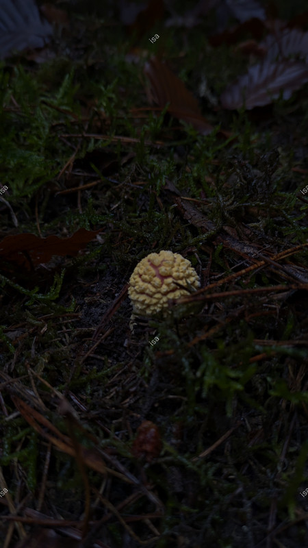 Photo-1731751210751.jpg