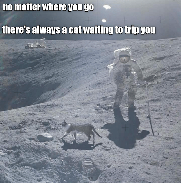 its-a-fact-of-life