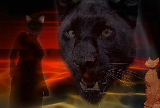 bastet.jpg
