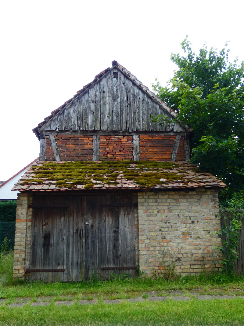 49715777nh.jpg