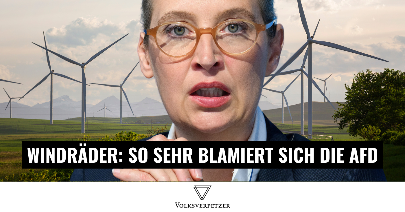www.volksverpetzer.de