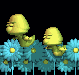 Flower-07-june.gif