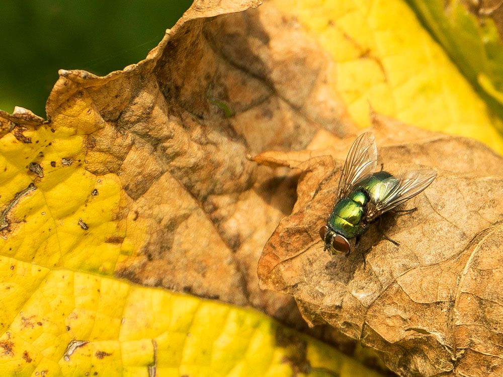 HerbstimpressTuni20147von16_zps1a01dc03.jpg