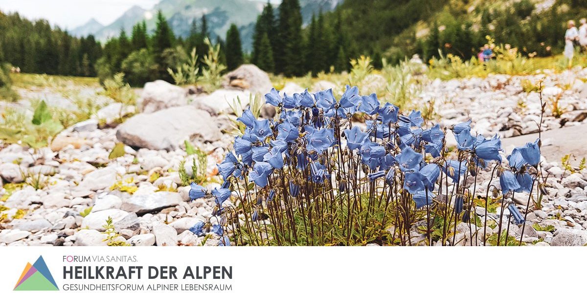 www.heilkraftderalpen.org