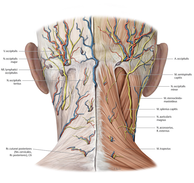 cs_7301286.jpg