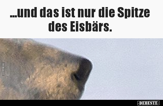 4e9b7f3b469c8bb4508abbc13a8069e03477.png