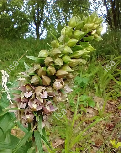 Photo-1728203021902.jpg
