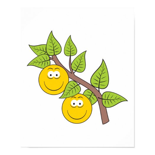 berries_smiley_face_poster-p228579402198043645tdcz_525.jpg