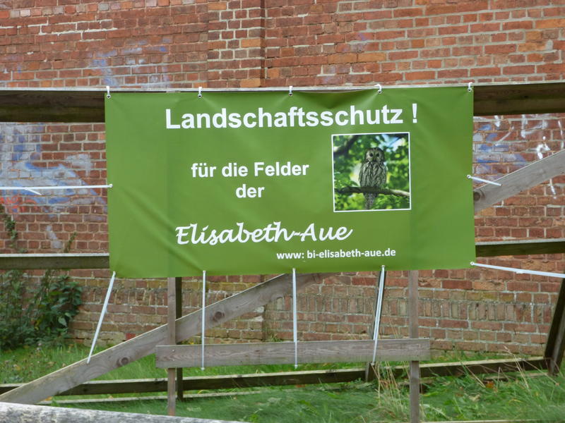 30651198hl.jpg