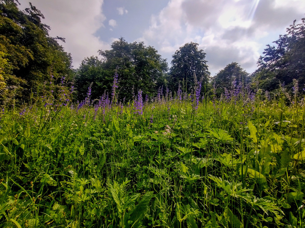 IMG-20240520-095502948-HDR-2.jpg