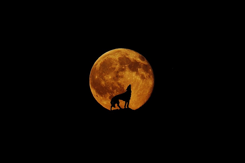 moon-830444_960_720.jpg