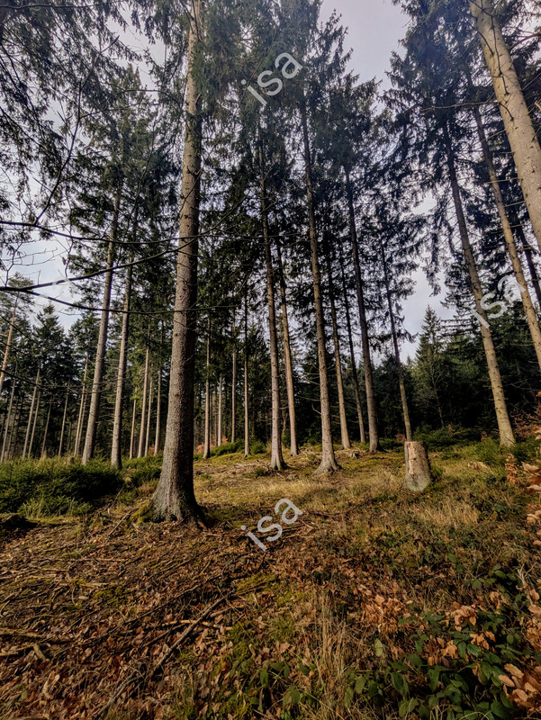 Photo-1775235747517.jpg