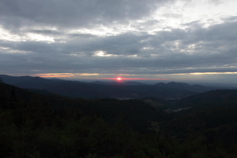 33772823nm.jpg