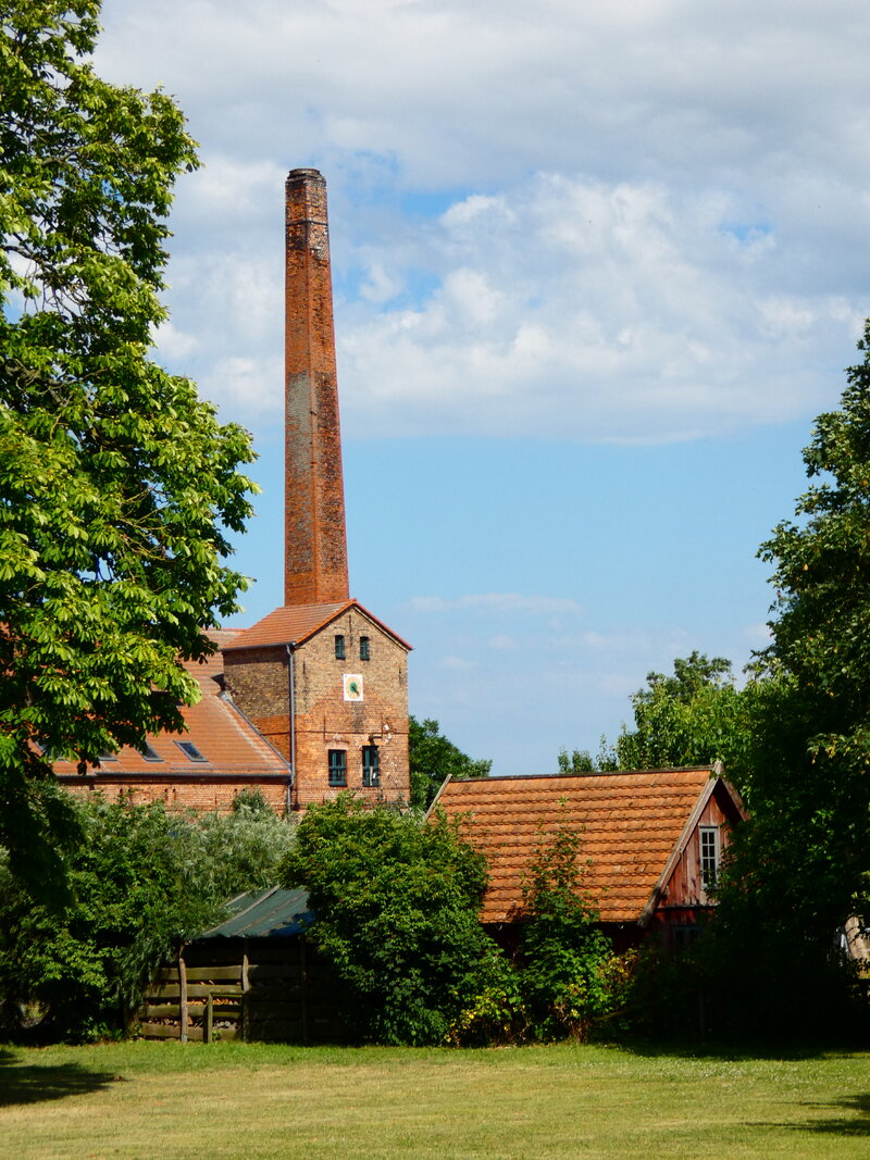 48666081yv.jpg